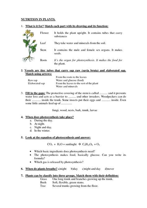 14 Nutrition Worksheets For Adults