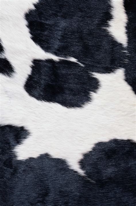 Skin Cows Thistle Texture Fur Cow Fur Texture Background Background