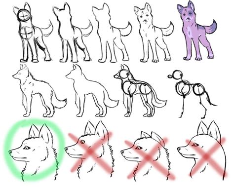 How To Draw Wolves Part 1 By Dogwolf129 On Deviantart