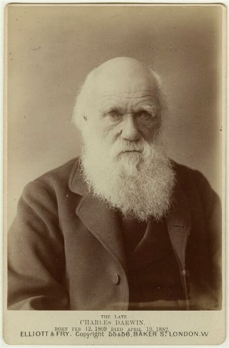 Npg X5937 Charles Darwin Large Image National Portrait Gallery