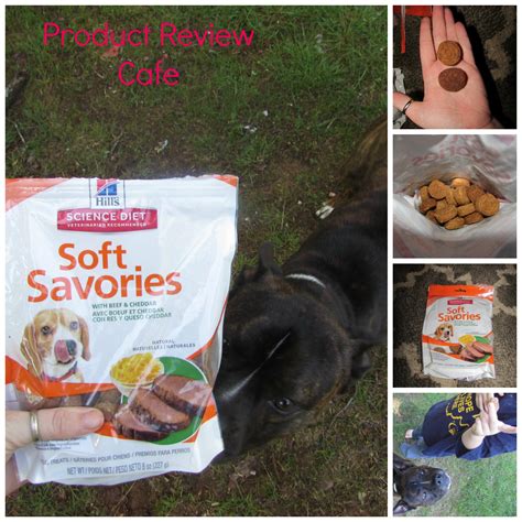 Hills Science Diet Soft Savories With Beef And Cheddar Dog Treats