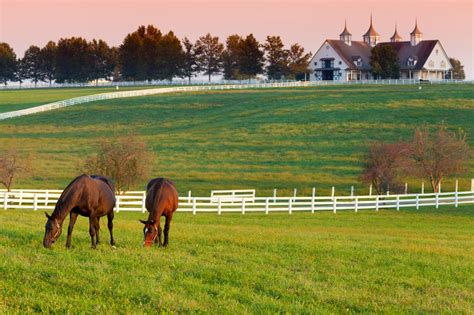 A Guide To Managing Your Horse Farm Sarah Boyd And Company
