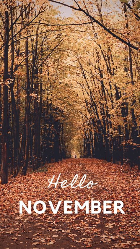 Fall Wallpaper For Your Phone The Keele Deal Herbst Wallpaper Iphone