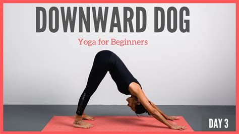 How To Do Downward Dog Yoga For Beginners 5 Minute Yoga Youtube