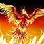 Fiery Phoenix  YouTube
