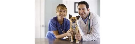 What Qualifications Do You Need to Be a Vet Assistant? | eHow