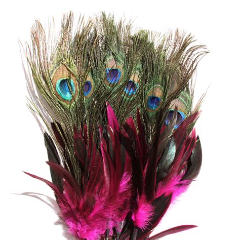 Hot Pink Peacock Feathers Stems Peacock Decorations Peacock Feathers