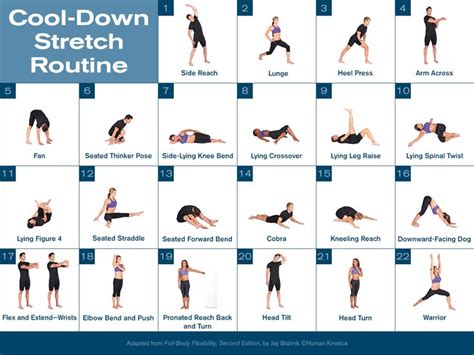 Cool Down Stretch Routine Cool Down Stretches After Workout