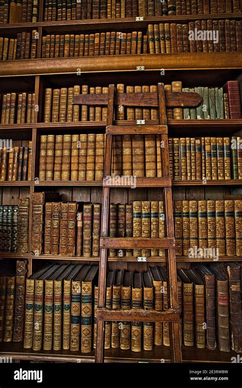 Vintage Library With Old Shelves Of Old Books And A Wooden Ladder Stock