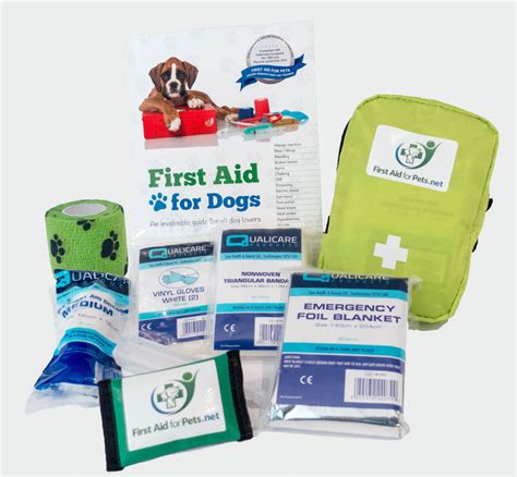 Why Have A Dog First Aid Kit And What Should Be In It