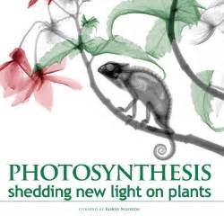 Photosynthesis By Robin Noorda Blurb Books Uk