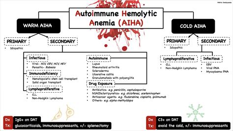 Autoimmune Hemolytic Anemia Aiha Warm Aha Primary Grepmed