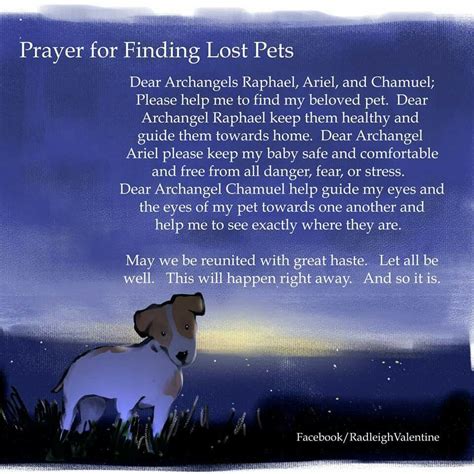 Prayer For Finding Lost Pets Losing A Pet Pet Quotes Dog Dog Quotes