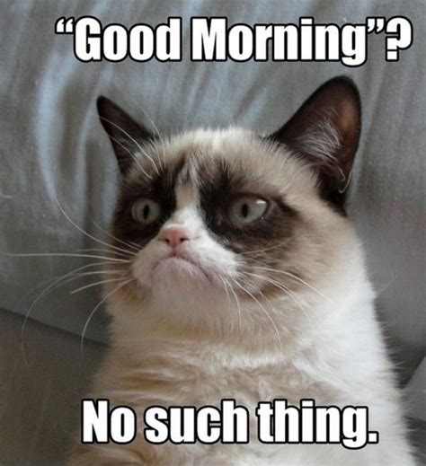 A Grumpy Cat Sitting On Top Of A Couch With The Caption Good Morning No Such Thing
