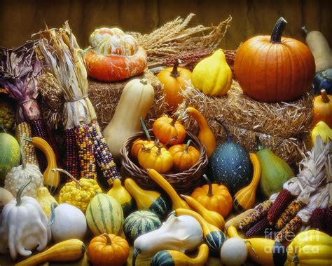 Fall Harvest Photograph By Martin Konopacki Fine Art America