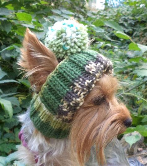 Medium Hat Dog Small Dog Hat Knitted Dog Hat Warm Dog Hat Dog Hat
