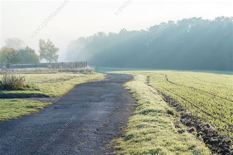 Field On A Foggy Morning Stock Image F0302809 Science Photo Library