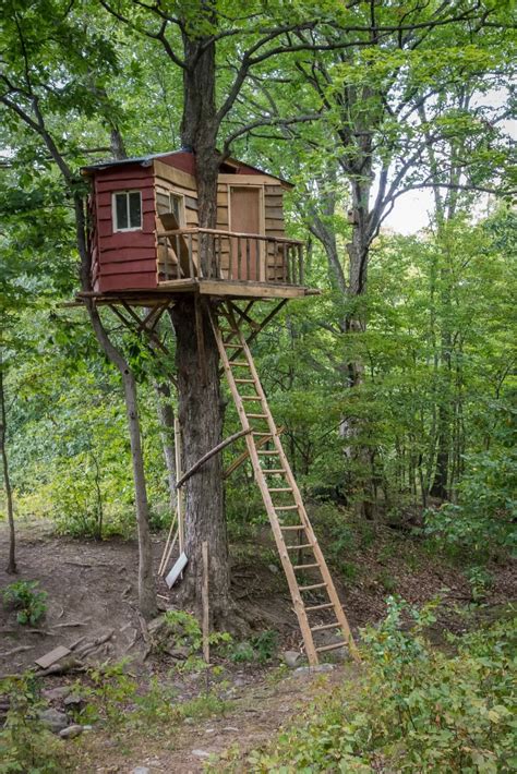 25 Awesome Kids Tree Houses Kids Activities Blog