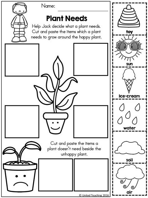 What Plants Needs Kindergarten Science Preschool Science Plants