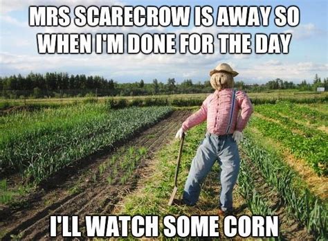 The Best Of The Scarecrow Meme