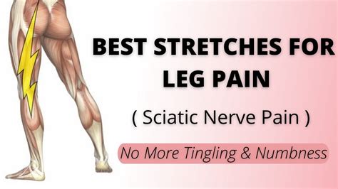 Best Stretches For Leg Pain Sciatic Nerve Pain No More Tingling