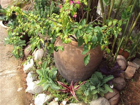 Projek lanskap untuk lanskap mini di rumah. Hang Kebun: LANSKAP DI HALAMAN RUMAH