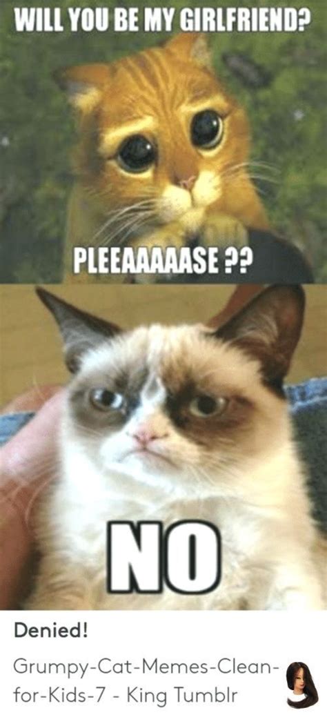 Collect the beautiful grumpy cat memes clean funny hilarious pets. #animal meme clean #cat #Grumpy #Math #MEMES 29 Grumpy Cat Memes Math Som... - - #animal #Cat # ...