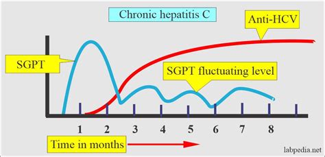 Hepatitis C Virus Hcv Hcv Profile Diagnosis And Treatment