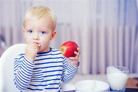 Baby Nutrition Eat Healthy Toddler Having Snack At Home Child Eat