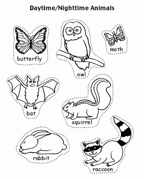 Nocturnal Animals Printable Coloring Pages Coloring Pages