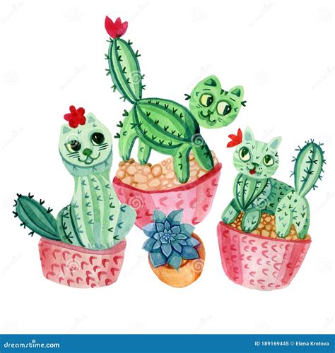 Cute Animal Cats Cacti In Pots And Succulents Stock Image Image Of