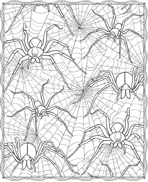 Most of people may not like the spider, but you must admit that they are fascinating, with impressive characteristics. Free Printable Halloween Coloring Pages for Adults - Best ...