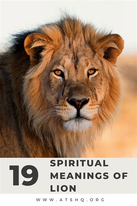 Lion Symbolism 19 Spiritual Meanings Of Lion
