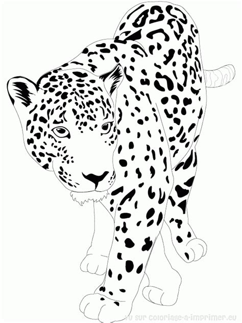 Coloriage Jaguar 9002 Animaux Dessin à Colorier Coloriages à