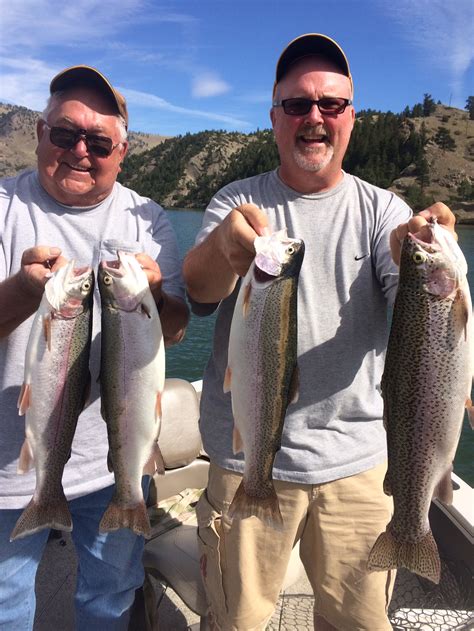 Holter Fish Montana Hunting And Fishing Information