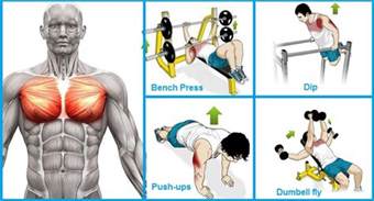 Level callus with hands callus remover callus performance, callus remover tool, is by far one. Simple 4 Tested Exercises to Build Chest Muscle Fast - My ...