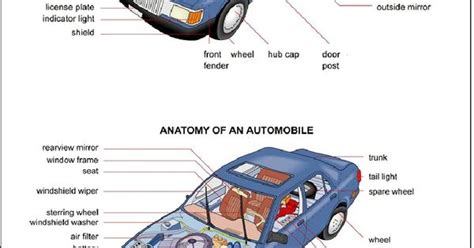 Car Anatomy Is Car Really A Guy Thing Pinterest Anatomy And Cars
