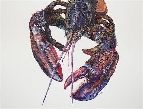 Maine Lobster Painting By Kellie Chasse Fine Art America