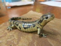 Tiger Salamander Paludarium Ideas In Tiger Salamander