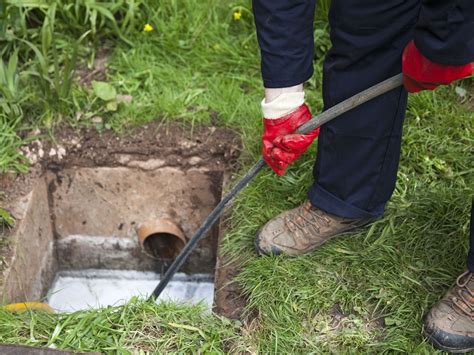 The Warning Signs Of A Main Sewer Line Clog Ashton Plumbing Heating