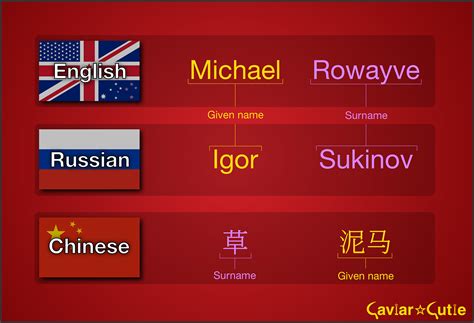 (chiefly australia, canada, new zealand, us and britain) a first name, a name chosen for a child, usually by the child's parents; Russian Names: The Comprehensive Guide - Caviar Cutie