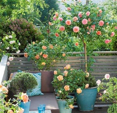 Beautiful flower gardens for small spaces. Balcony Garden In Indian Flats in 2020 | Rose garden design, Small balcony garden, Balcony planters