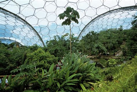 Eden Project Biome Photograph By Tony Craddockscience Photo Library