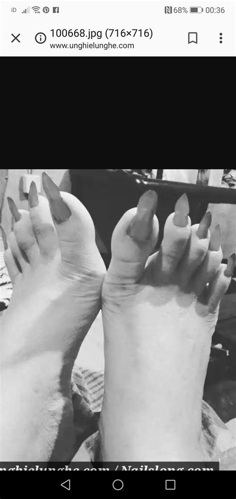 Pin By Alan On Toenails Long Toenails Sexy Feet Toe Nails