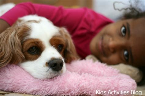 5 Reasons Why Kids Should Have a Pet