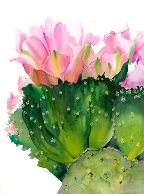Cactus Flower Adelman Fine Art Gallery Succulent Art Watercolor