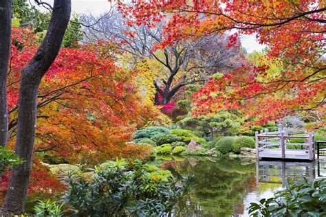 Fort Worth Botanic Garden Countryliving Most Beautiful Gardens Amazing