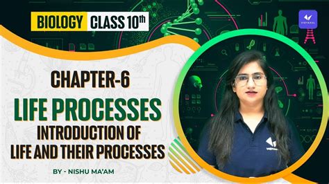 Life Processes Introduction Of Life And Their Processes Class 10