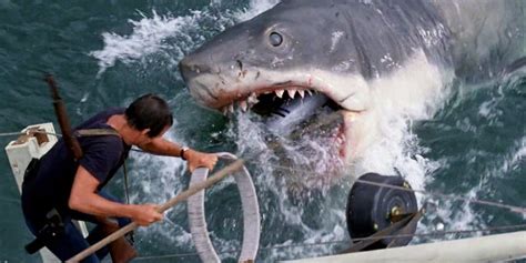 sink your teeth into these terrifying movies all about shark attacks film daily