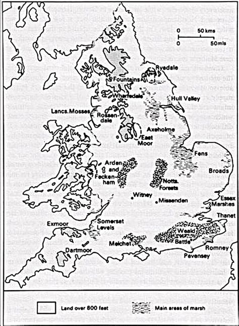 The Marshlands Of Western Europe